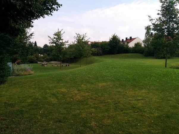 Die großzügige Wiese